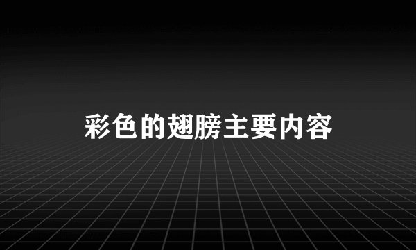 彩色的翅膀主要内容