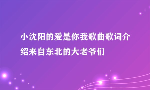 小沈阳的爱是你我歌曲歌词介绍来自东北的大老爷们
