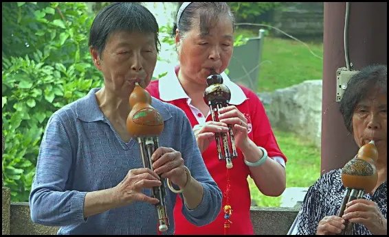 葫芦丝十大名曲有哪些