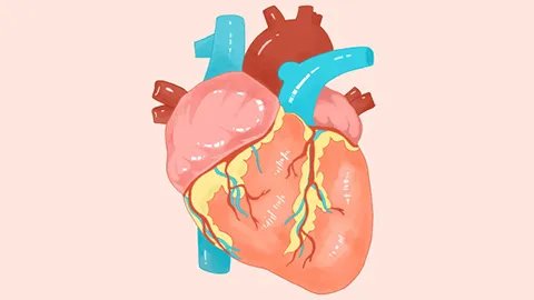 心脏突然跳得很快是什么原因