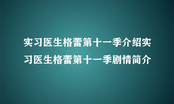 实习医生格蕾第十一季介绍实习医生格蕾第十一季剧情简介