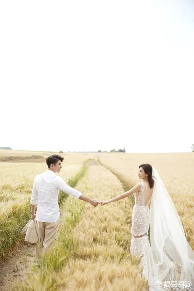 对于贾静雯补办婚礼你怎么看？