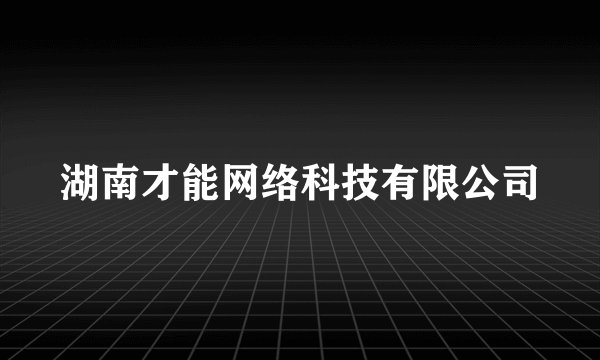 湖南才能网络科技有限公司