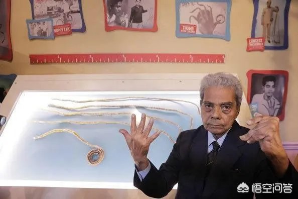 世界上最长的指甲是谁？有多长？（最好找图片看看）？