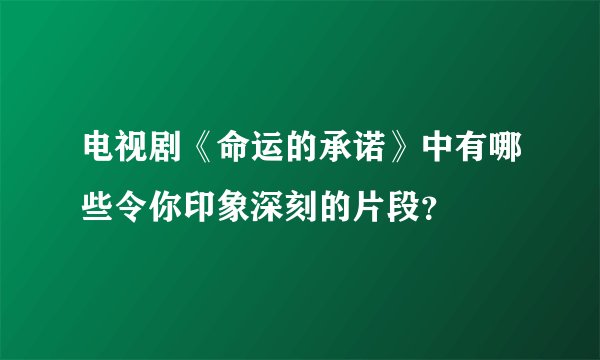 电视剧《命运的承诺》中有哪些令你印象深刻的片段？