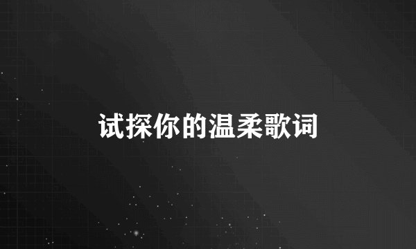 试探你的温柔歌词