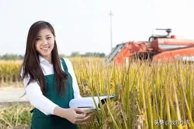 农村老话“大暑凉飕飕，立冬笑死牛”是啥意思？有道理吗？