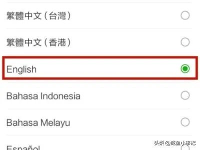 微信号如何改成英文