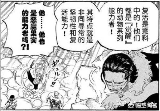 《海贼王》里头果实都能够觉醒，那么路飞的果实觉醒了以后会是怎么样的？