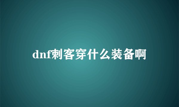 dnf刺客穿什么装备啊