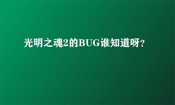 光明之魂2的BUG谁知道呀？