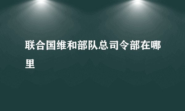 联合国维和部队总司令部在哪里