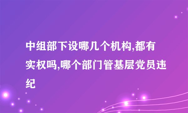 中组部下设哪几个机构,都有实权吗,哪个部门管基层党员违纪