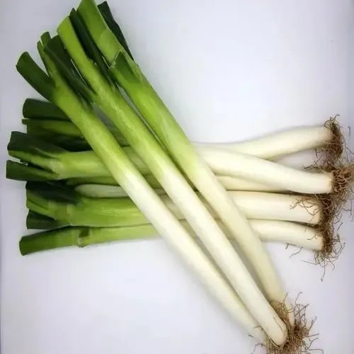 葱白煮水能治感冒吗？怎样吃更有效？