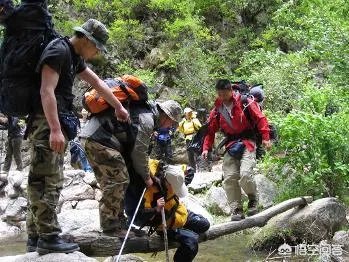 房车自驾游会不会取代旅行社？