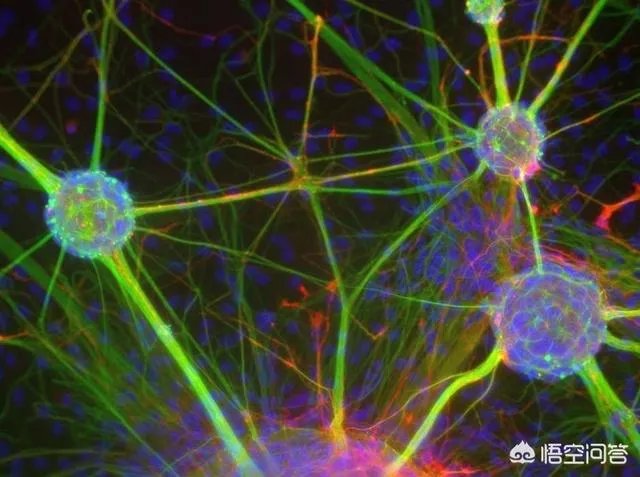 微观世界会有文明存在吗？