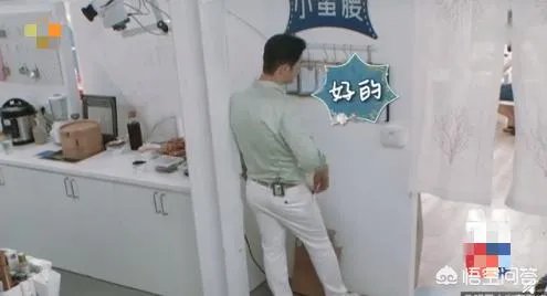 秦海璐称与黄晓明感情好才会回怼他,你怎么看?他们感情好的例子有哪些?