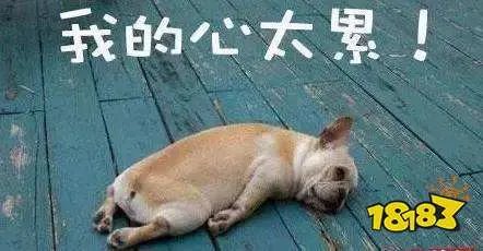 小明在工作日加班到晚上11点，那他加班的时薪应不低于 平时时薪1.5倍平时时薪0.5倍