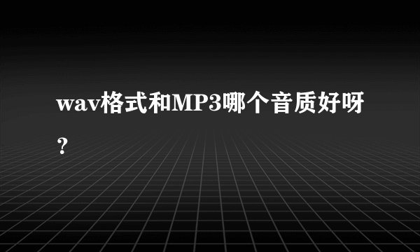 wav格式和MP3哪个音质好呀？