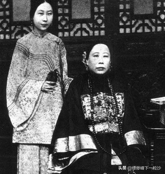 李菊藕的功效与作用