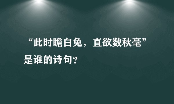“此时瞻白兔，直欲数秋毫”是谁的诗句？