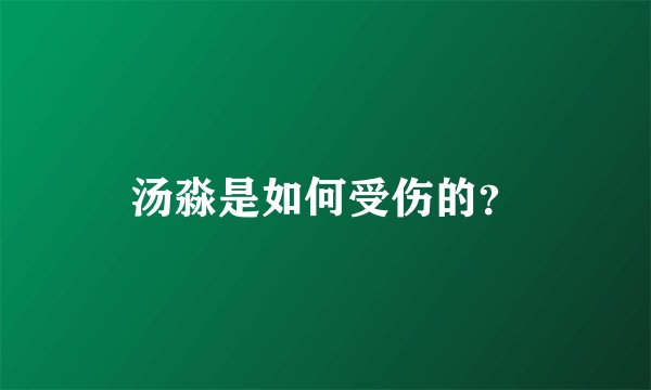 汤淼是如何受伤的？