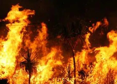 大兴安岭火灾是怎么回事？