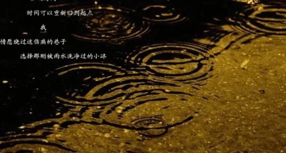 《雨的印记》这首歌背后有什么含义