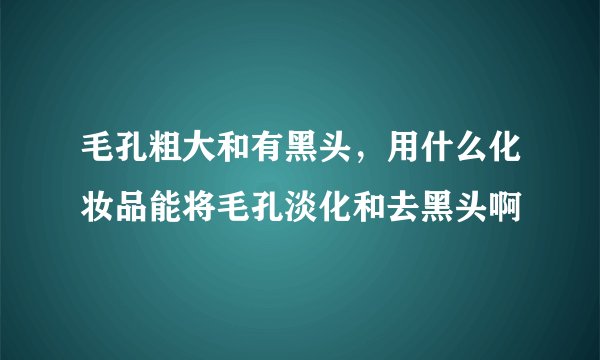 毛孔粗大和有黑头，用什么化妆品能将毛孔淡化和去黑头啊