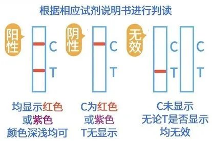 新冠病毒抗原检测结果怎样看