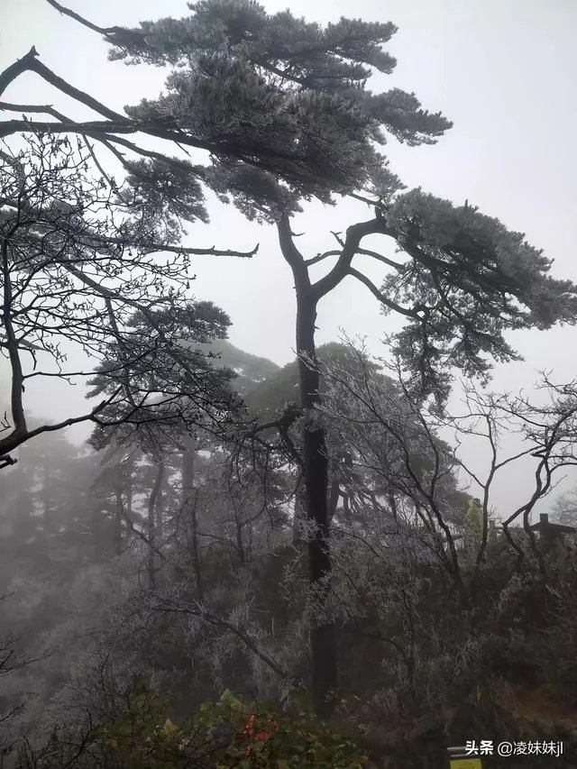 黄山后杭州西湖游客又人满为患，你有什么观点，你怎么看？