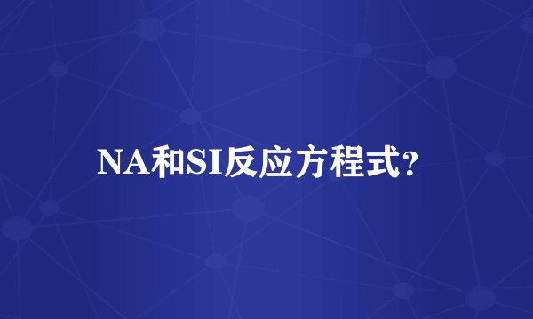 NA和SI反应方程式？