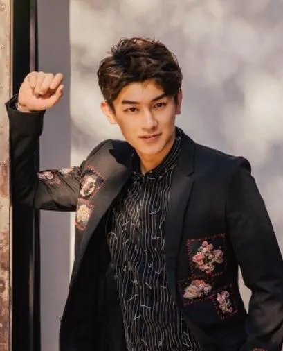 如何评价演员杨旭文？