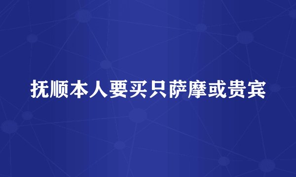 抚顺本人要买只萨摩或贵宾