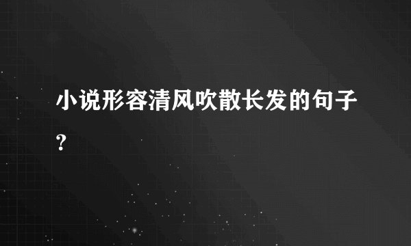 小说形容清风吹散长发的句子？