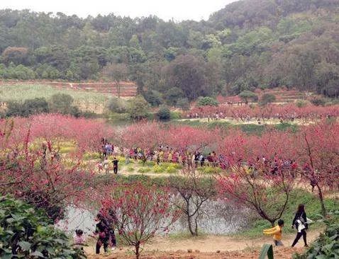 广州-肇庆-七星岩-鼎湖山。路线攻略，大概多少钱…谢谢！！高分