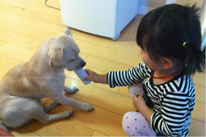 小孩营养不良吃什么好