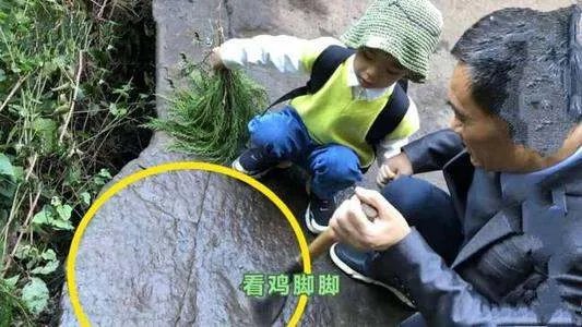 四川5岁男童发现了恐龙足迹，他是咋断定这是恐龙足迹的？