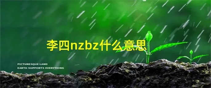 李四nzbz什么意思