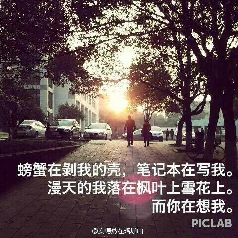 武汉大学 三行情书比赛的冠军是谁？