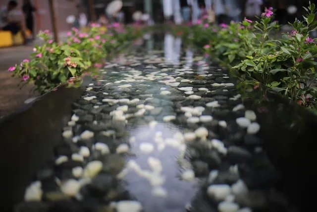 性能均衡的全画幅 佳能EOS 6D Mark II