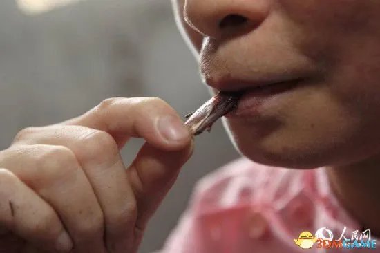 广东人什么都敢吃 女子养10万只蟑螂供自己生吃