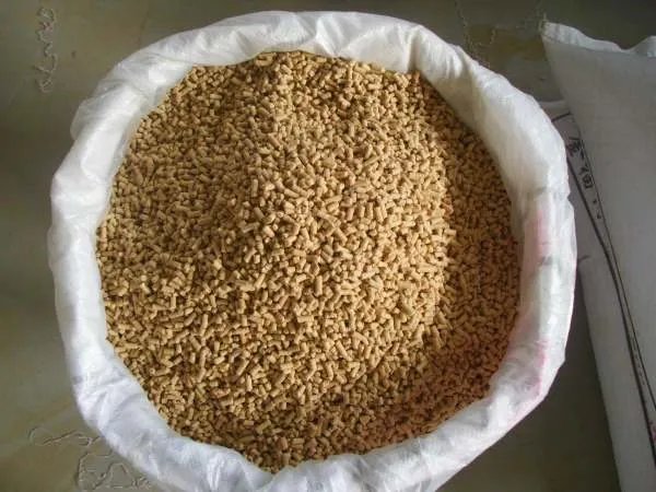 配制生猪饲料，都有哪些要领？