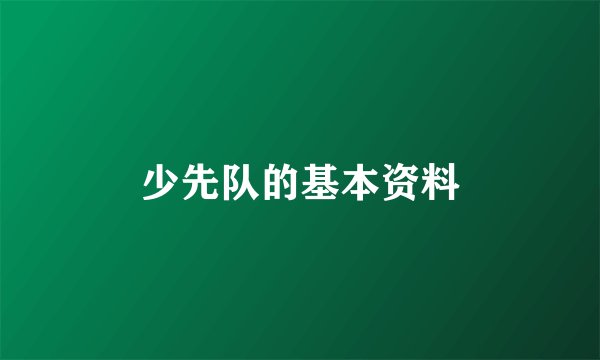少先队的基本资料