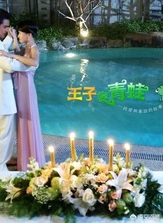 明道主演的电视剧有哪些？