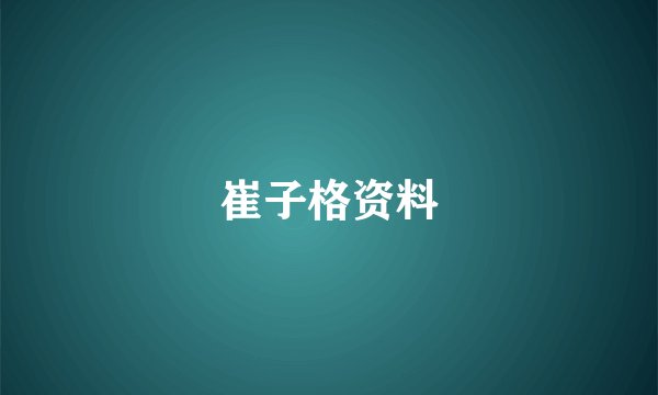 崔子格资料