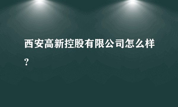 西安高新控股有限公司怎么样？