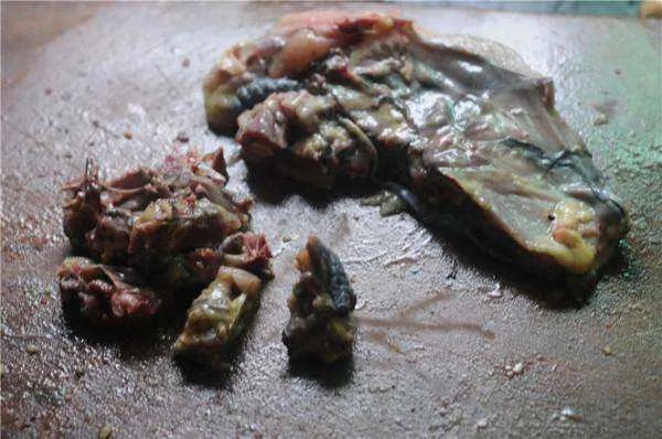 鸡的做法大全家常菜做法