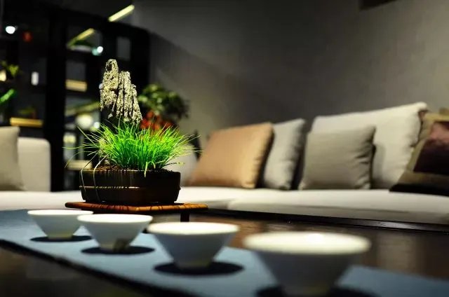 昆明万物｜自然而然，天生万物