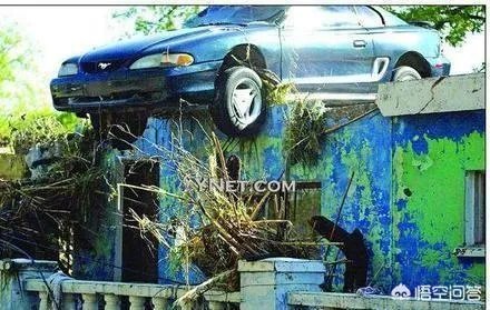 女司机开车“爬”护桥栏杆，下车后先玩自拍，你怎么看？